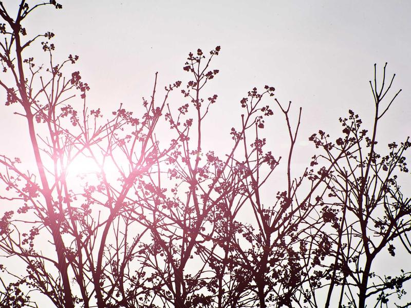 android screenshot 1